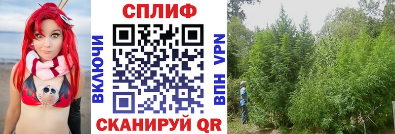 Каннабис MAZAR  где купить наркоту  Анадырь 
